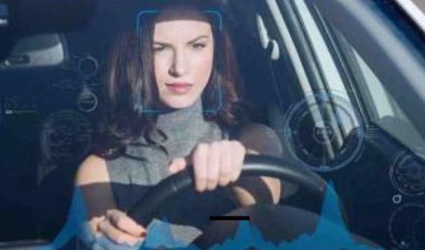 DSM — In-Cabin Driver Monitoring